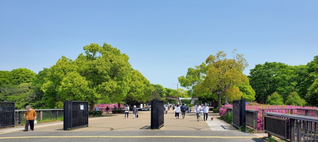 【大自然に触れる】公園や滝、渓谷など