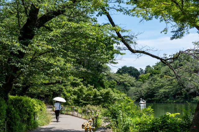 井の頭恩賜公園