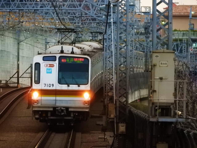 東急東横線で楽しむ素敵な一日デートコース